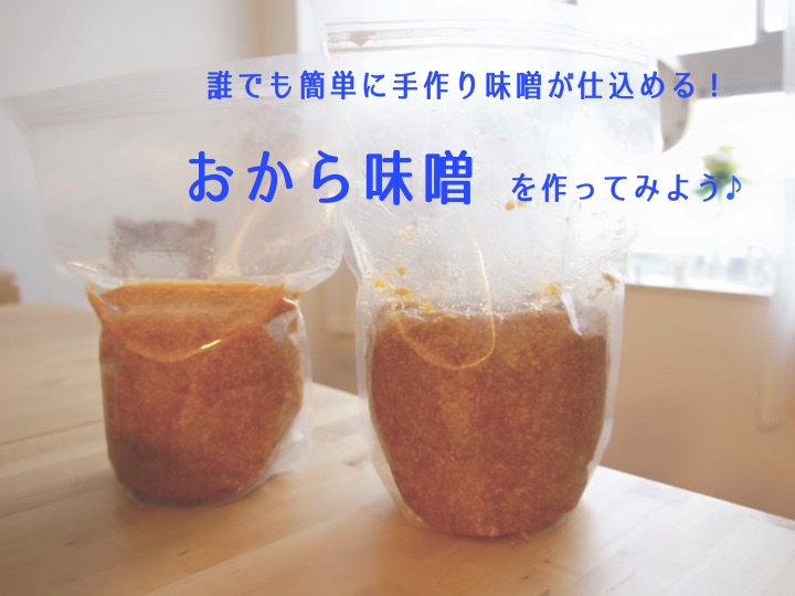 誰でも簡単に手作りお味噌が仕込める おから味噌を作ってみよう エキスパ